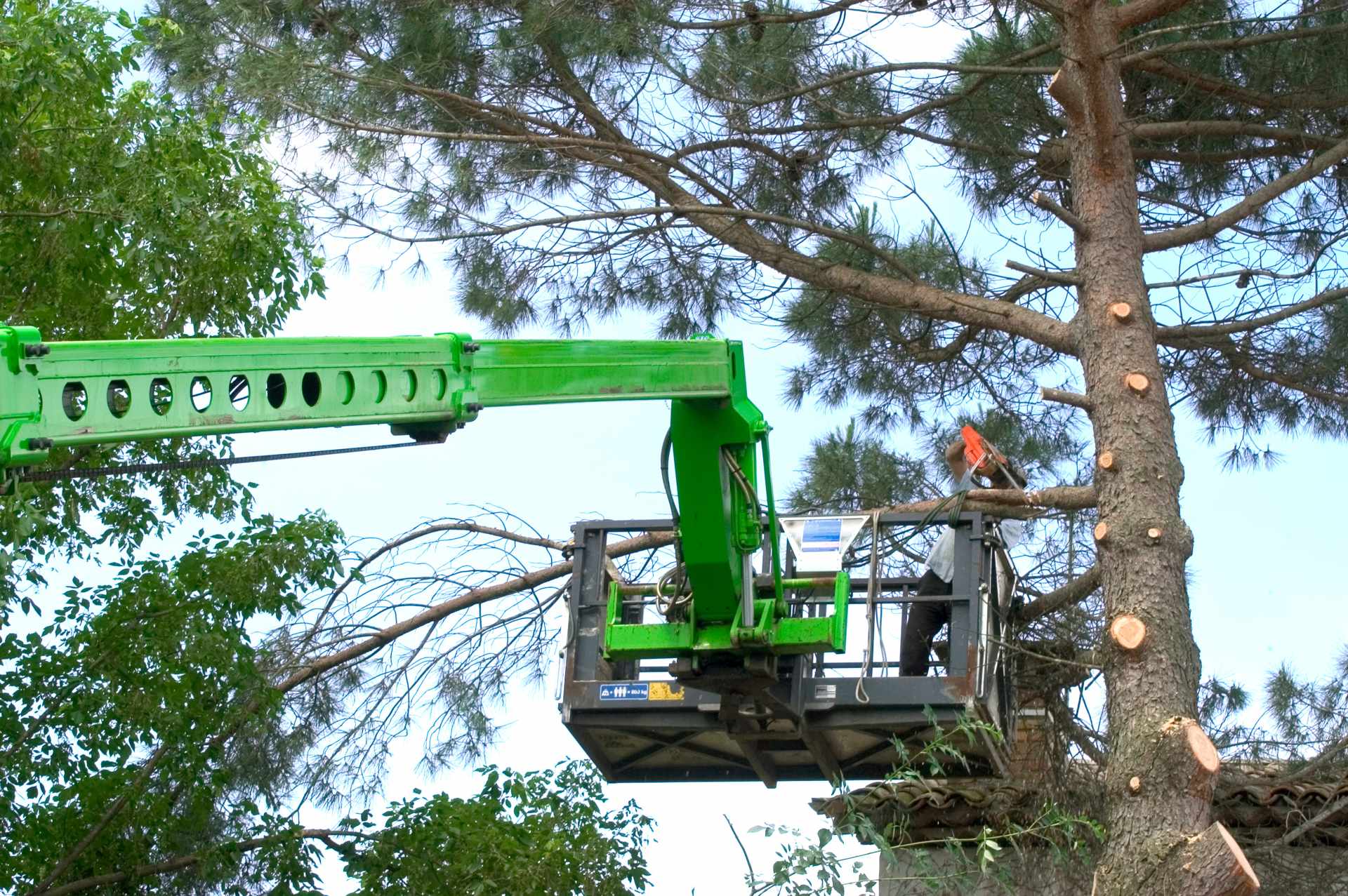 AKKA FOREST -Travaux forestiers à SAINT LÉGER